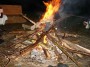 Thumbs/tn_DSC06729.jpg